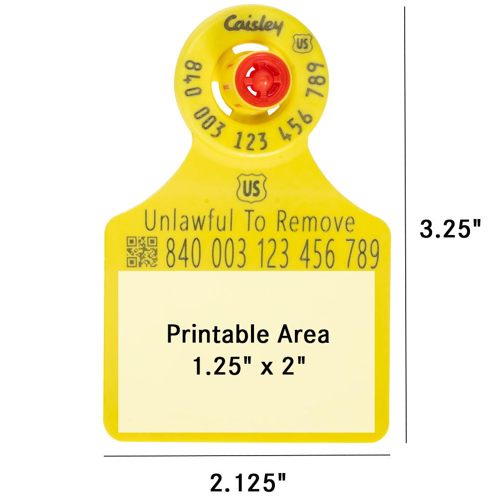 Printable Area