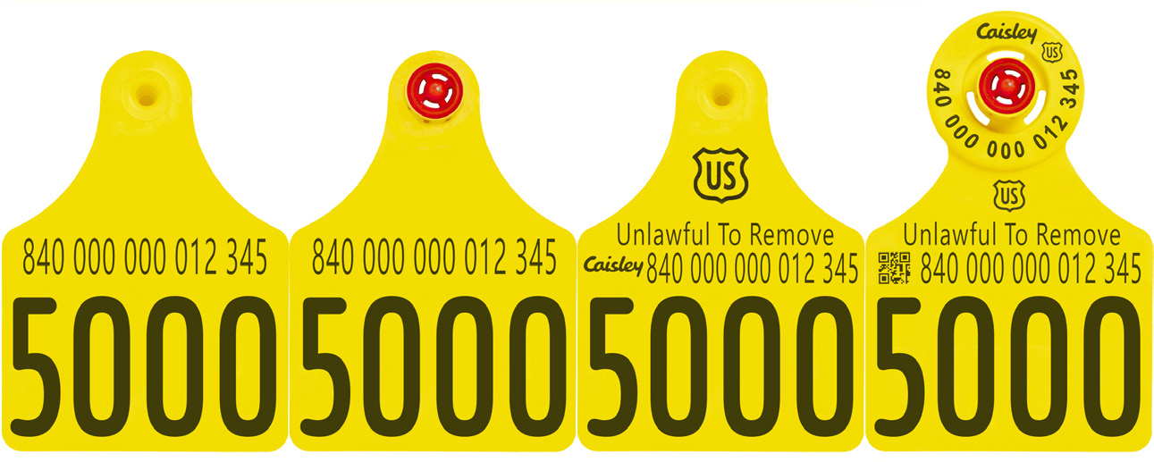 Management Number Sequence